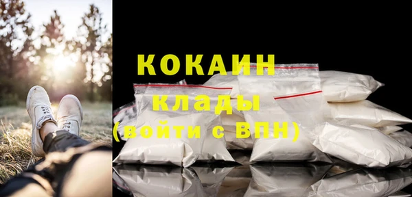 мет Ладушкин