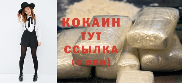 мет Ладушкин