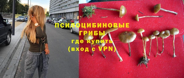 синтетический гашиш Лабытнанги
