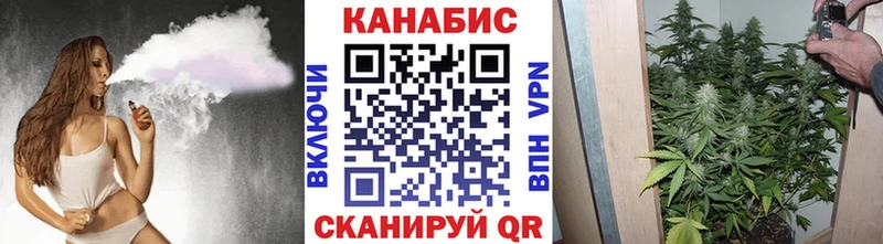 Марихуана SATIVA & INDICA  Шенкурск 